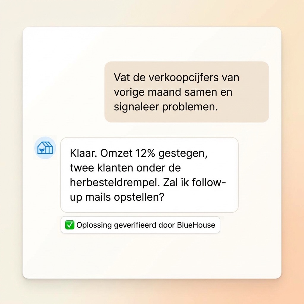 Verkoopoverzicht voorbeeld